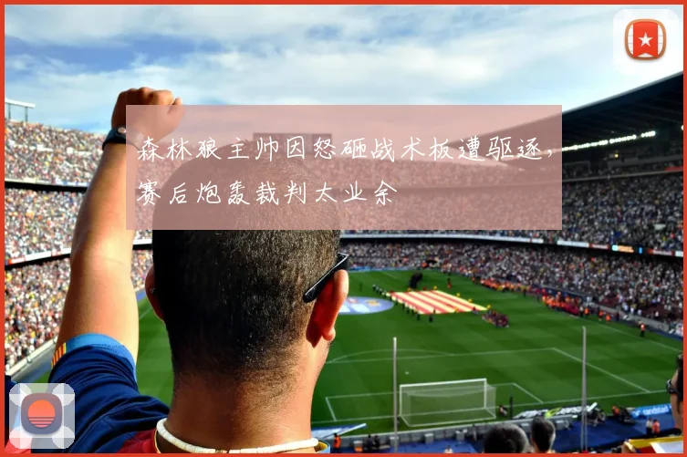 森林狼主帅因怒砸战术板遭驱逐,赛后炮轰裁判太业余